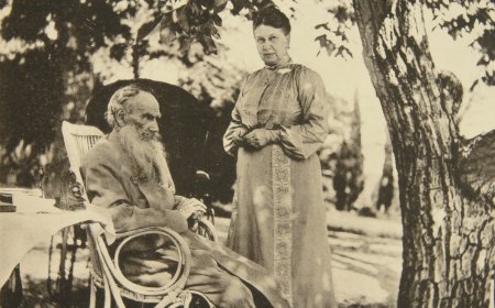 ടോൾസ്തോയിയുടെ ഭാര്യ