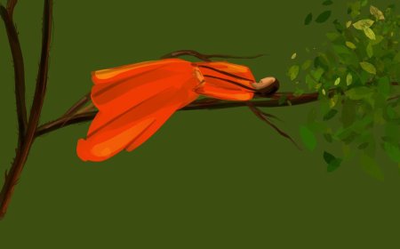 ഒലീവും കിനാവും .