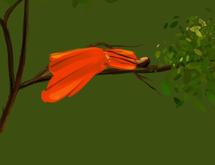 ഒലീവും കിനാവും .