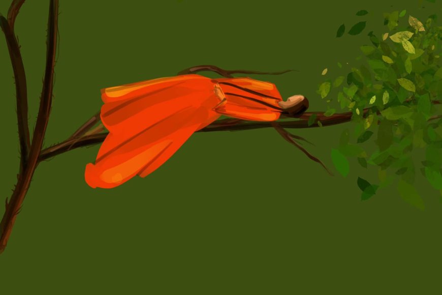 ഒലീവും കിനാവും .