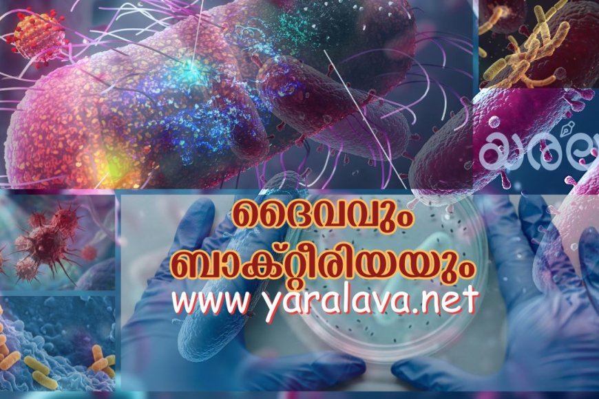 ദൈവവും ബാക്ടീരിയയും .