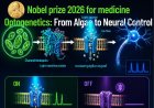 വെളിച്ചം കൊണ്ട് ചികിൽസിക്കാം  . Optogenetics നൊബേൽ സമ്മാനം നേടിയ പുതിയ വിജ്ഞാന ശാഖ.